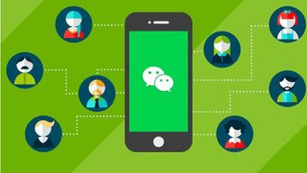 郑州小程序开发 小程序命名的重要性与实现霸屏效果的四大关键